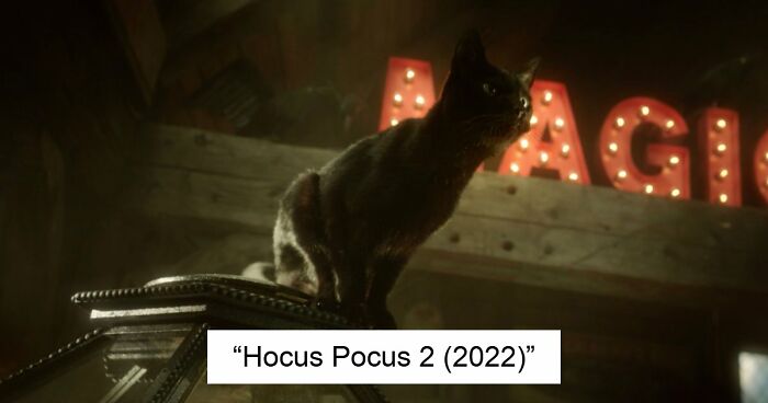 This X Page Tracks Every Cat In Cinema, Here Are 83 You Probably Didn’t Notice