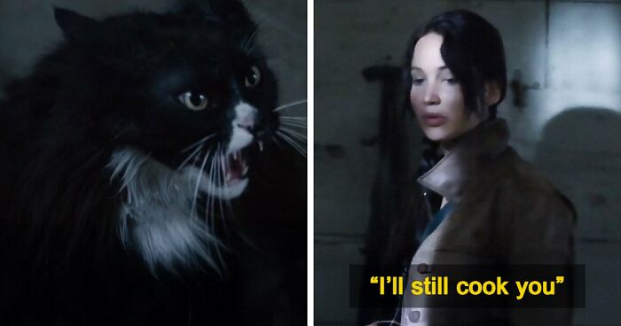 This X Page Tracks Every Cat In Cinema, Here Are 83 You Probably Didn’t Notice