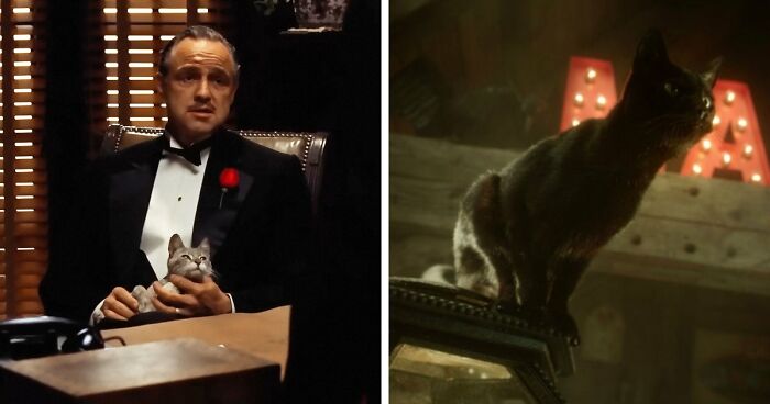This X Page Tracks Every Cat In Cinema, Here Are 83 You Probably Didn’t Notice