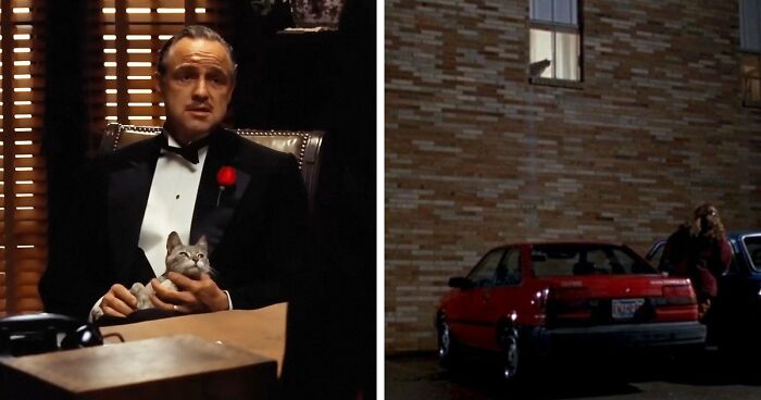 This X Page Tracks Every Cat In Cinema, Here Are 83 You Probably Didn’t Notice