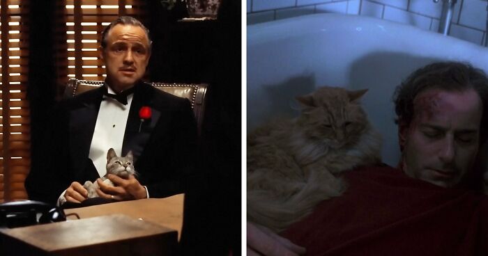 This X Page Tracks Every Cat In Cinema, Here Are 83 You Probably Didn’t Notice