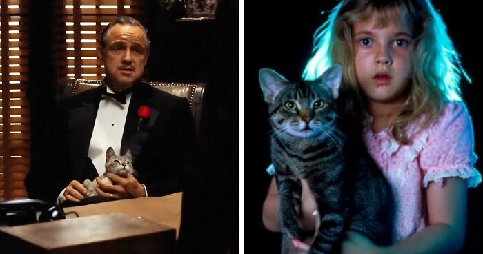 This X Page Tracks Every Cat In Cinema, Here Are 83 You Probably Didn’t Notice