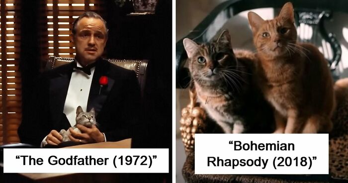 This X Page Tracks Every Cat In Cinema, Here Are 83 You Probably Didn’t Notice