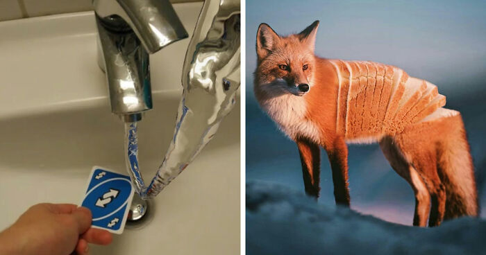 99 Confusing And Unhinged Images Where “Things Only Get Weirder” The Longer You Look (New Pics)