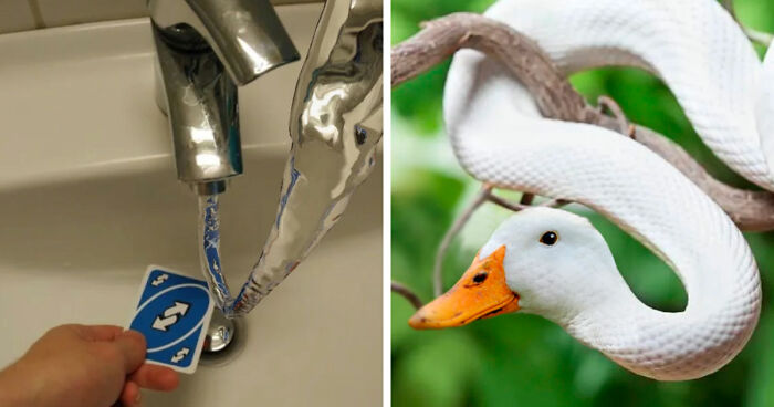 99 Confusing And Unhinged Images Where “Things Only Get Weirder” The Longer You Look (New Pics)