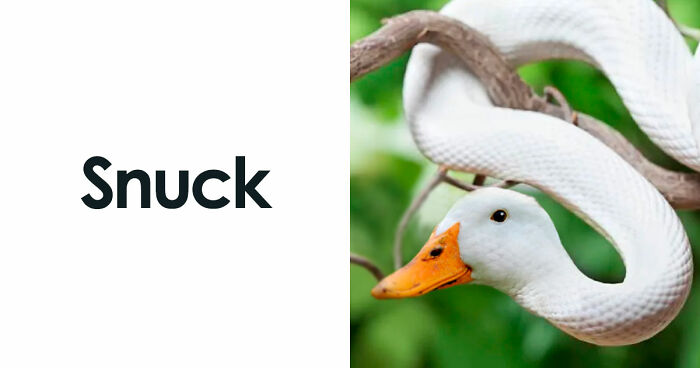 99 Confusing And Unhinged Images Where “Things Only Get Weirder” The Longer You Look (New Pics)