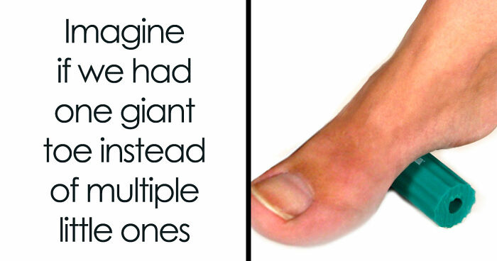 99 Confusing And Unhinged Images Where “Things Only Get Weirder” The Longer You Look (New Pics)