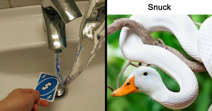 99 Confusing And Unhinged Images Where “Things Only Get Weirder” The Longer You Look (New Pics)