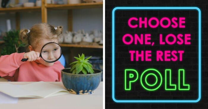 From A Morning Coffee To Entire Filmographies – 15 ‘Choose One, Lose The Rest’ Scenarios