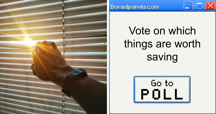 From A Morning Coffee To Entire Filmographies – 15 ‘Choose One, Lose The Rest’ Scenarios