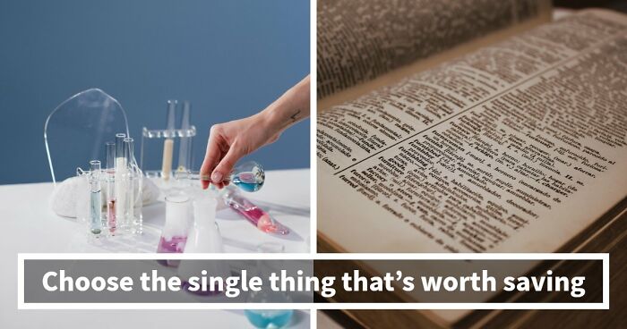 From A Morning Coffee To Entire Filmographies – 15 ‘Choose One, Lose The Rest’ Scenarios