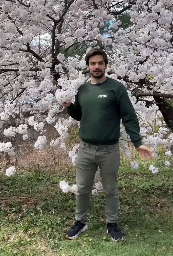 Young New York Botanical Garden scientist stands among blooming trees, engaging with nature during springtime visit. Young New York Botanical Garden scientist stands among blooming trees, engaging with nature during springtime visit.