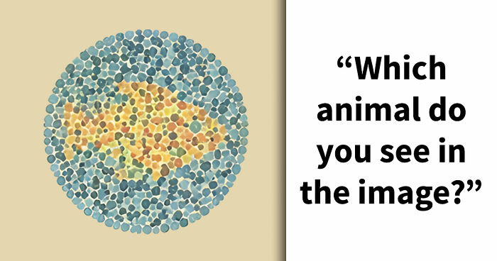 “Do You Have Eyes Of An Eagle?”: This 21-Question Color Blindness Test Will Reveal The Truth