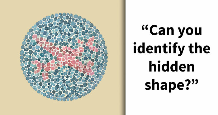 “Do You Have Eyes Of An Eagle?”: This 21-Question Color Blindness Test Will Reveal The Truth