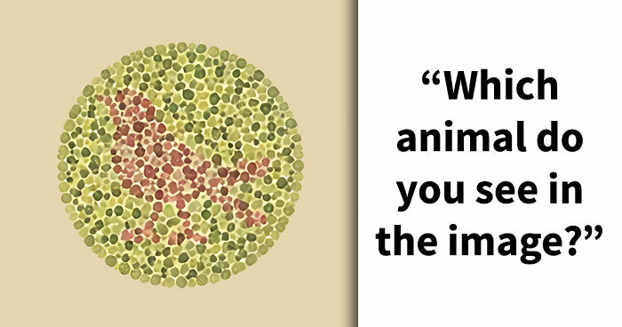 “Do You Have Eyes Of An Eagle?”: This 21-Question Color Blindness Test Will Reveal The Truth