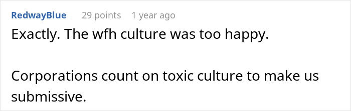 Screenshot of a comment discussing the end of work from home culture and concerns about toxic corporate environments. Screenshot of a comment discussing the end of work from home culture and concerns about toxic corporate environments.