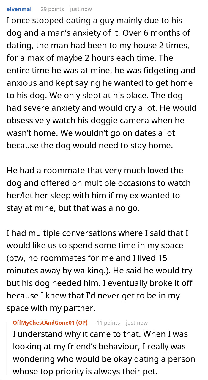 Text conversation about relationship struggles where a pet&rsquo;s anxiety impacts dating, highlighting crazy cat lady K-drama romance theme.