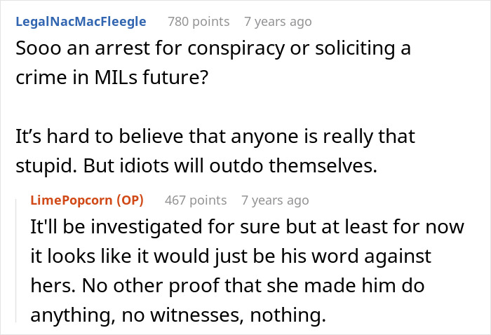 Reddit conversation discussing a homophobic MIL trying to falsely accuse son&rsquo;s boyfriend, who is a real police officer.