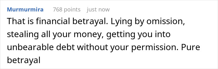 A social media comment about a husband's financial betrayal, lying by omission, and creating unbearable debt. Relates to husband-house-hoarder-finances.