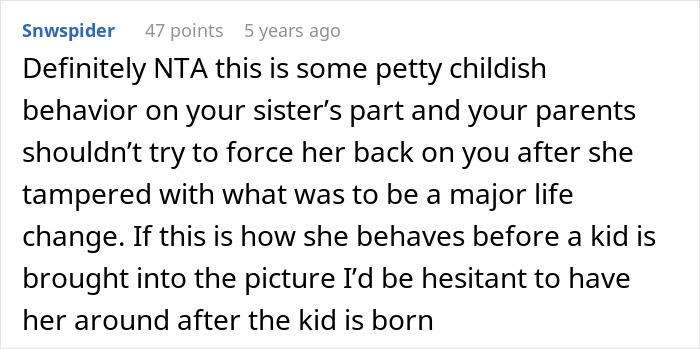 Screenshot of an online comment discussing a woman making her sister adopt her kid and the ensuing family conflict.