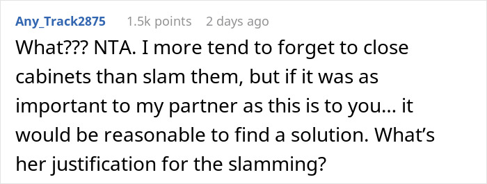 Screenshot of a Reddit comment discussing frustration with cabinet slamming and finding solutions for the noise problem.