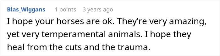 A comment from Blas_Wiggans hoping horses heal from trauma, relevant to a disruptive kid at stable story.