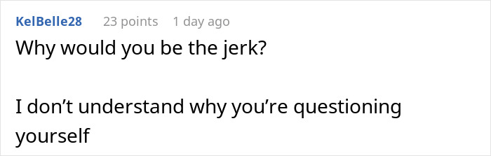 Comment from KelBelle28 questioning why someone would be a jerk and expressing confusion about self-questioning.