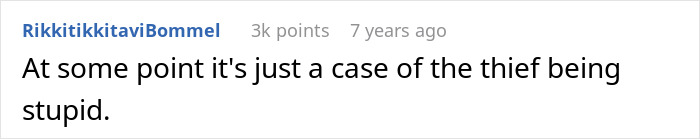 A Reddit comment about a food thief, stating 'At some point it's just a case of the thief being stupid.' Relates to iced sweet tea.