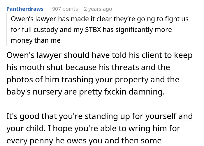 A Reddit comment supports a person fighting for custody, mentioning the ex-partner's threats and property damage related to a donor baby.