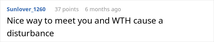 A Reddit comment from Sunlover_1260 about a stranger's entitlement at a wedding, causing a disturbance.