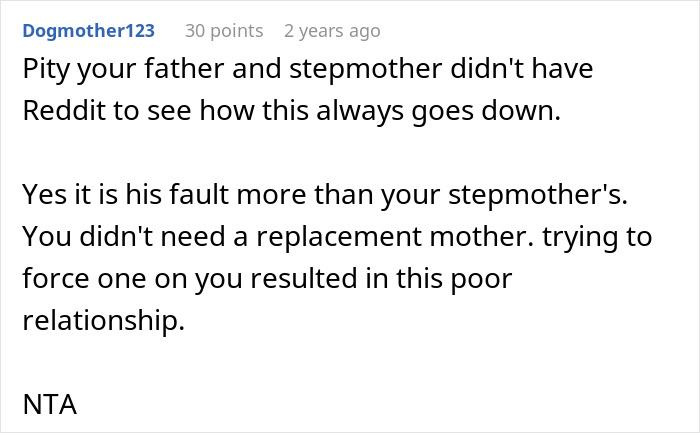 A Reddit comment blaming the Dad for pushing kids to replace their late mom with a Stepmom, leading to resentment.