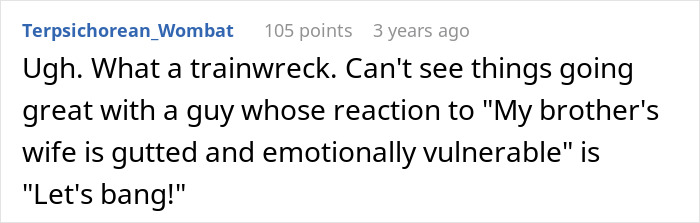 Screenshot of a forum comment discussing the dramatic situation involving a wife, husband&rsquo;s affair, and the husband&rsquo;s brother.