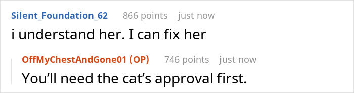 Comments about a crazy cat lady choosing her cat over men while seeking K-Drama romance online.