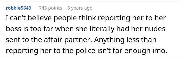 User comment on reporting cheating partner to the boss and police action