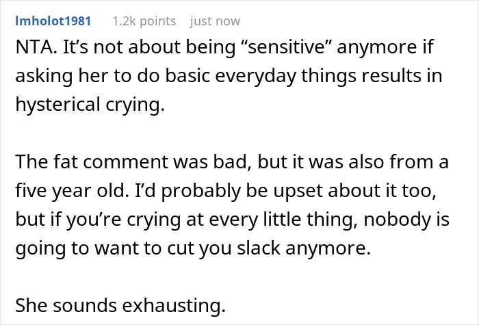 A Reddit comment criticizes a DIL for being too sensitive and crying over small things, especially after being called fat.