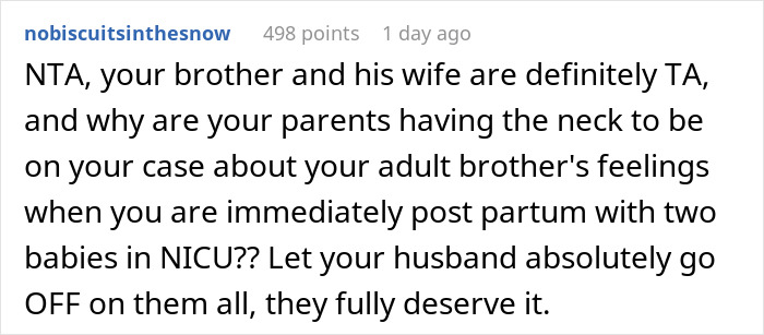 Bro Calls Sis Irresponsible For Years, Then Gets Offended She Doesn&rsquo;t Tell Him Her Kids Are At NICU