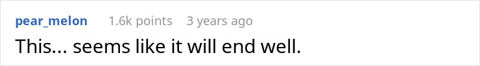 Screenshot of a Reddit comment saying This seems like it will end well in black text on a white background.