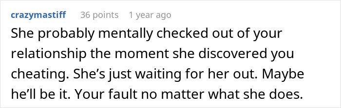 Screenshot of a comment discussing cheating and its emotional impact on a relationship, highlighting blame and consequences.