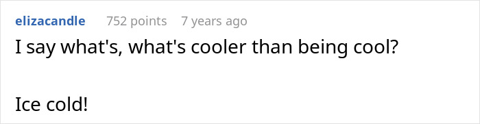 Comment about man&rsquo;s revenge on honking driver with ice-filled bin shared on online forum.