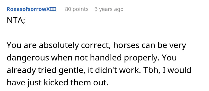 A Reddit comment from RoxasofsorrowXIII titled NTA, discussing a disruptive kid and his toxic mom at a stable.