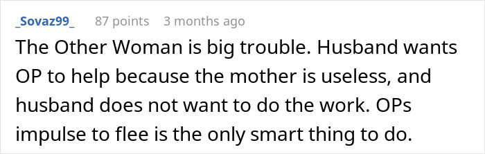 Alt text: Comment discussing a delusional husband expecting his wife to raise his affair child and the wife's smart response. Alt text: Comment discussing a delusional husband expecting his wife to raise his affair child and the wife's smart response.