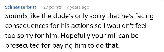 Screenshot of an online comment about a homophobic MIL hiring a fake cop to target her son's boyfriend who is a police officer.