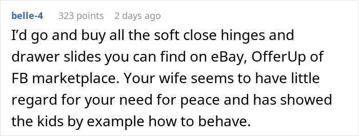 Text comment about soft close hinges and drawer slides for cabinets to stop slamming, and a wife upset about the solution.