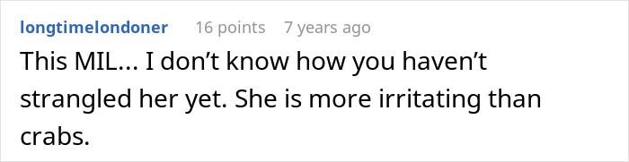 Screenshot of a forum comment criticizing a homophobic MIL involved in a fake cop incident with her son&rsquo;s boyfriend who is a real police officer.