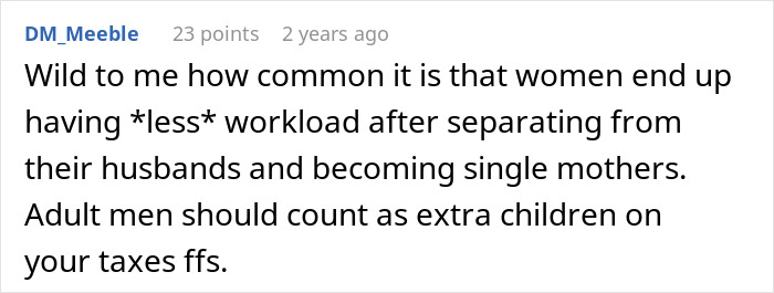 A Reddit comment discussing the irony of women having less workload after separating from husbands, mentioning the donor baby topic indirectly with marital issues.