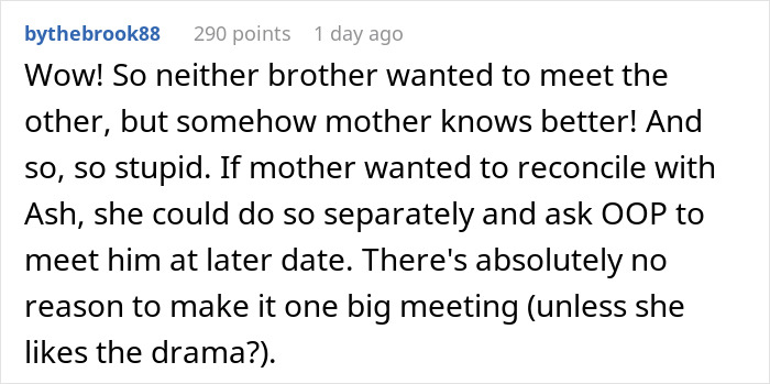 Man Refuses To Let His Estranged Brother Back Into His Life, Their Mom Tries To Force A Reunion