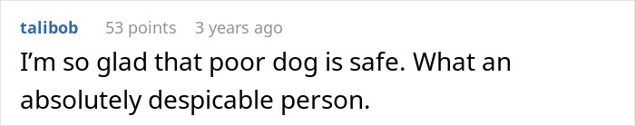 Screenshot of a comment about a dog&rsquo;s safety, highlighting animal lover&rsquo;s concern over a cheating revenge story.