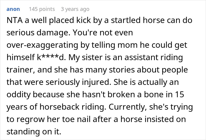 Reddit comment about a disruptive kid getting hurt at a stable and a toxic mom escalating things.