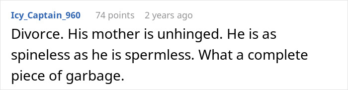 A Reddit comment from Icy_Captain_960, advising divorce. The user criticizes the man involved with the donor baby situation.