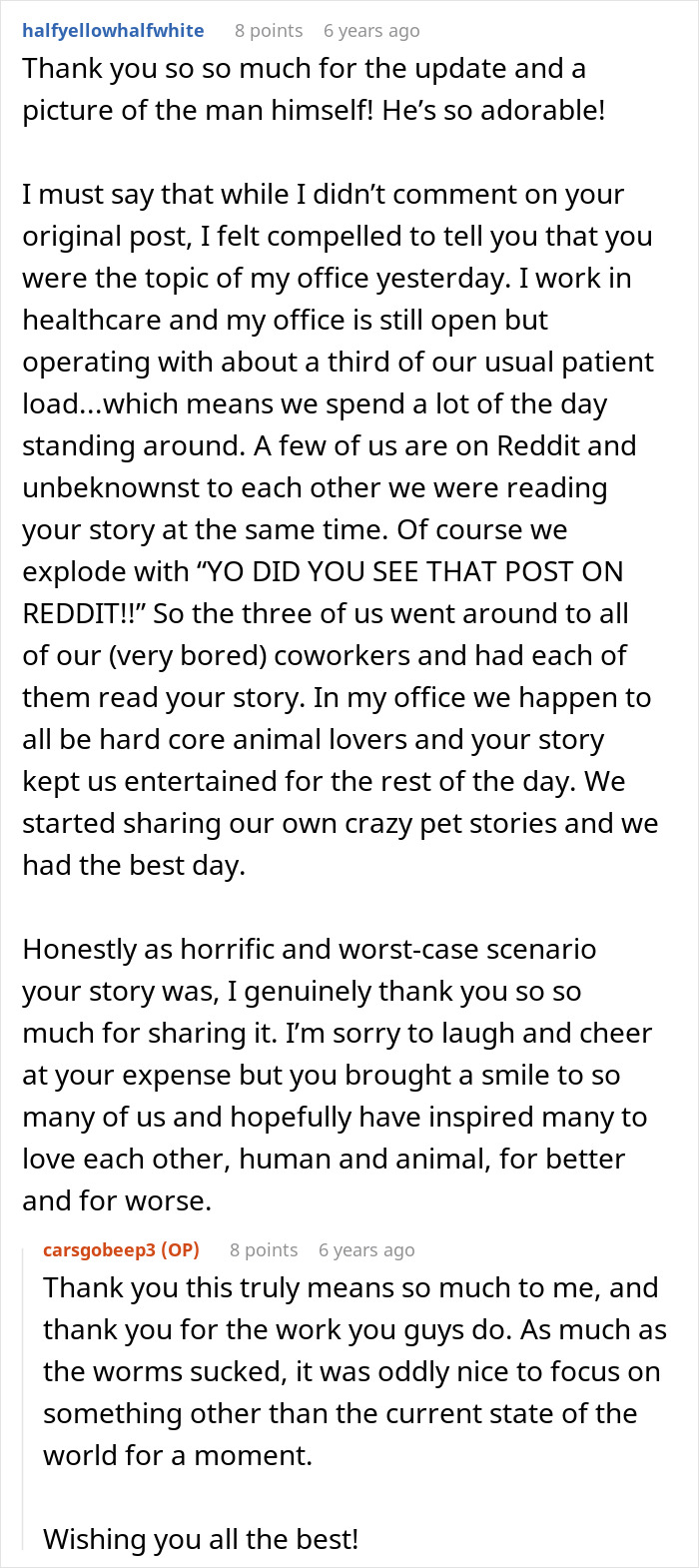 Reddit comment thread sharing a story about a woman, her senior cat, tapeworms, and unexpected costly pet regrets.